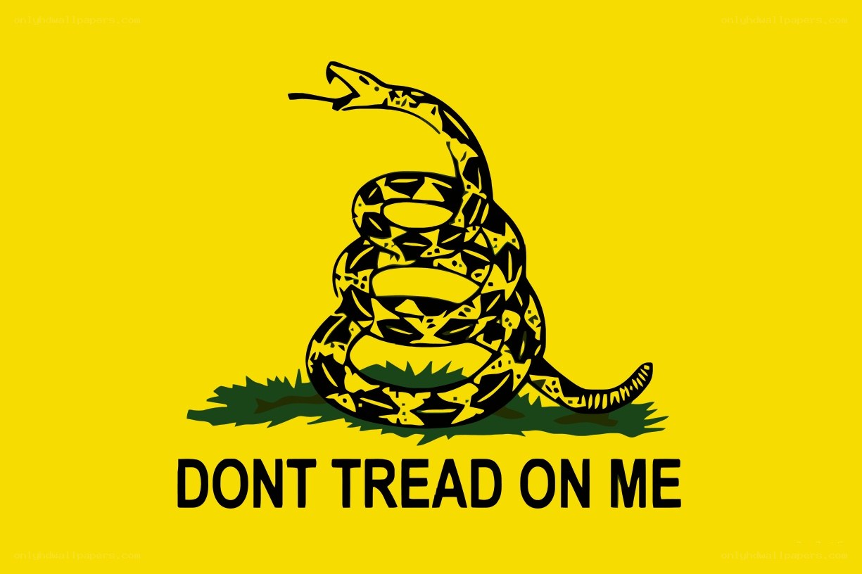 Don't Tread on Me flag