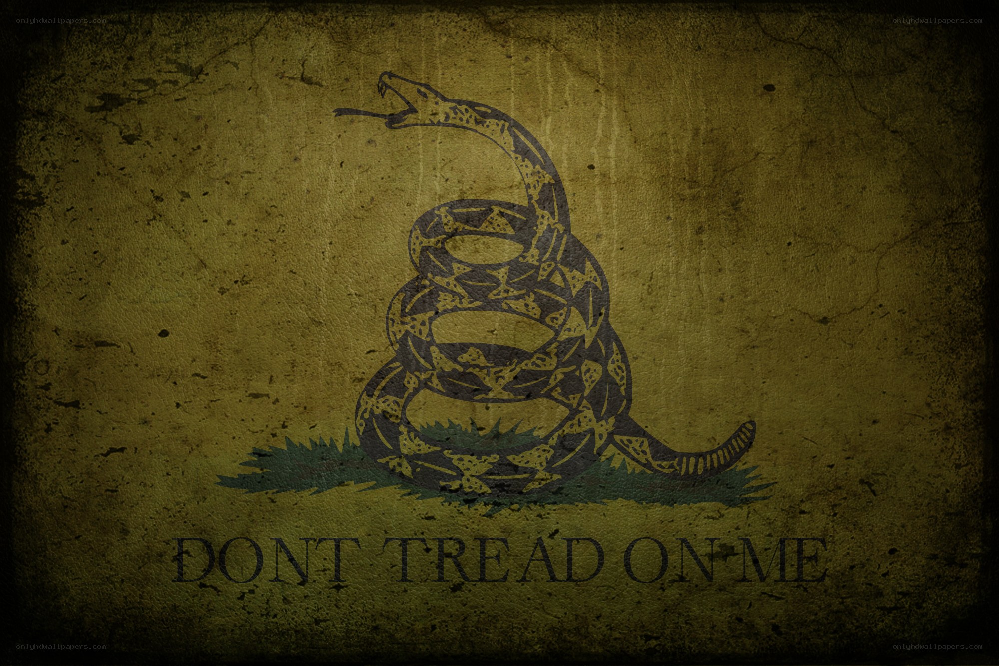 Don't Tread On Me flag