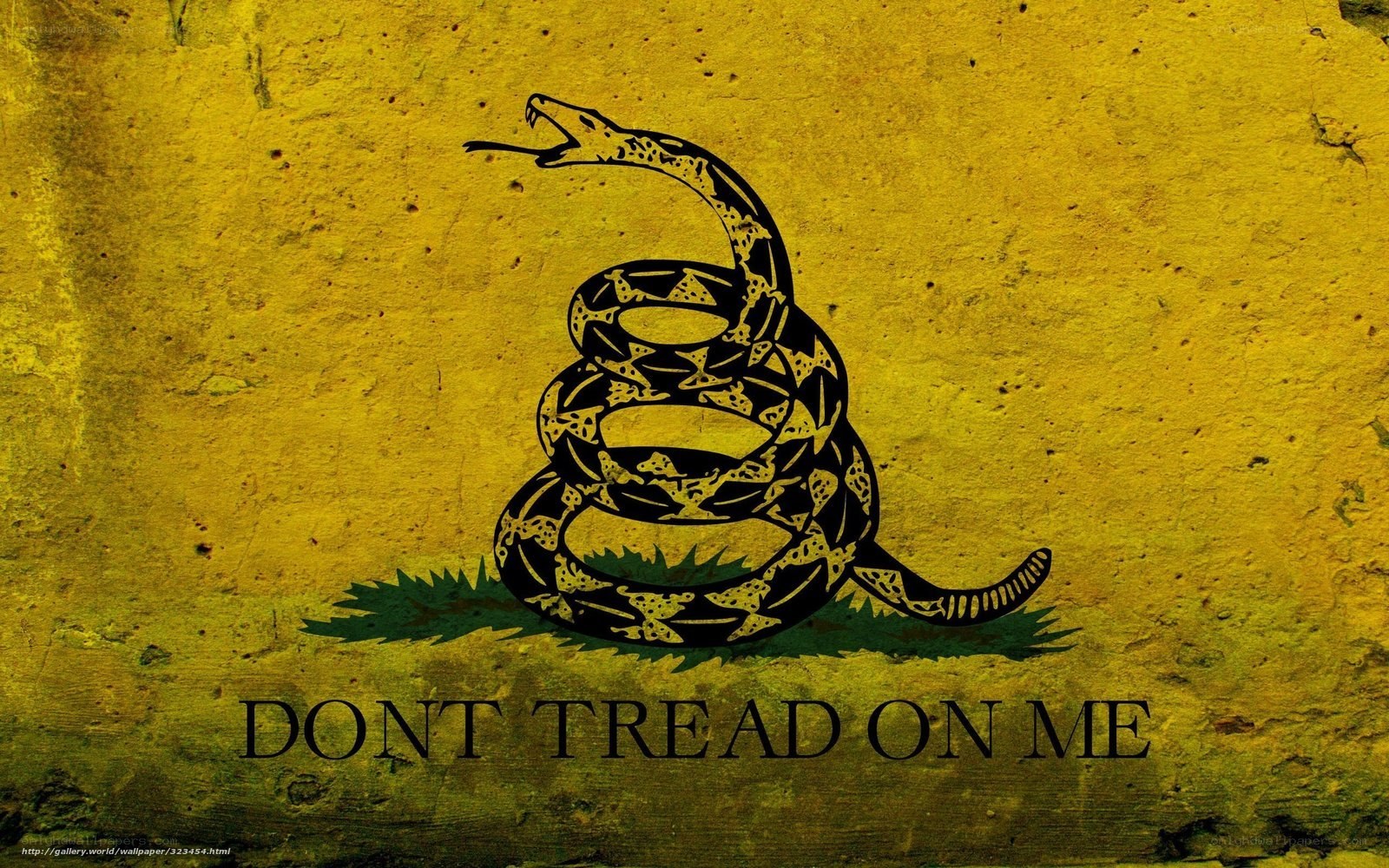 Don't Tread On Me flag