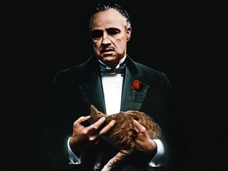 Don Vito Corleone holding a cat