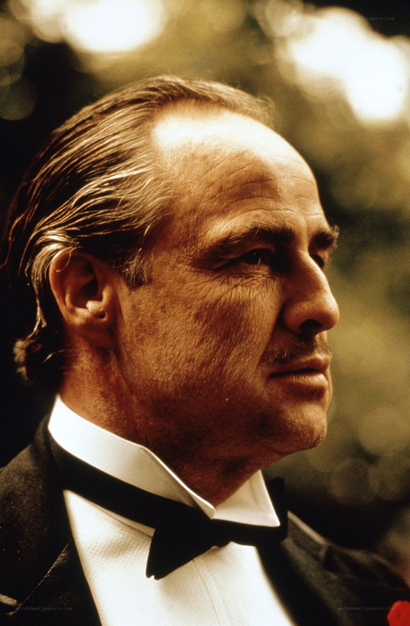 Don Vito Corleone portrait