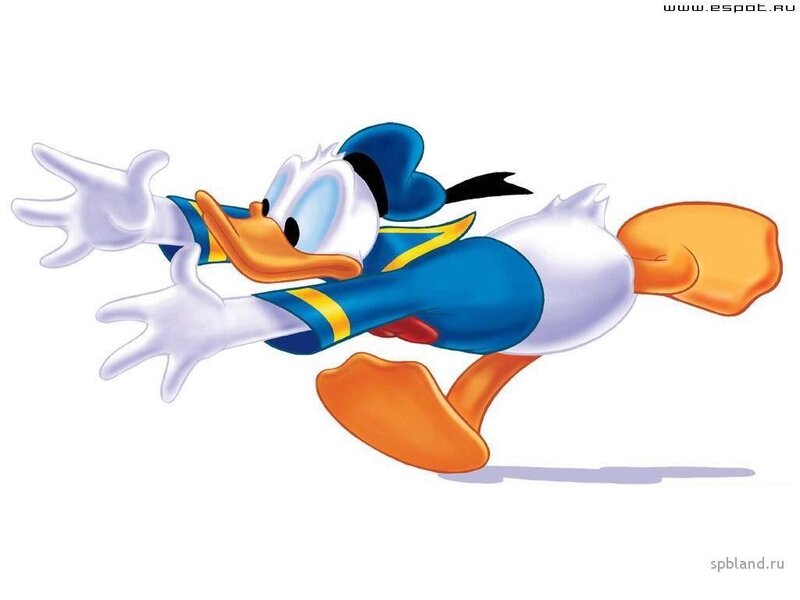 Donald Duck in action