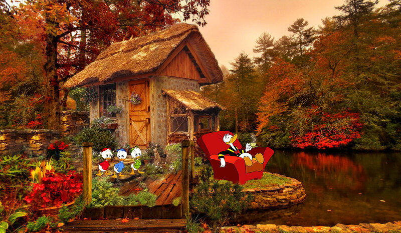 Donald Duck in Garden