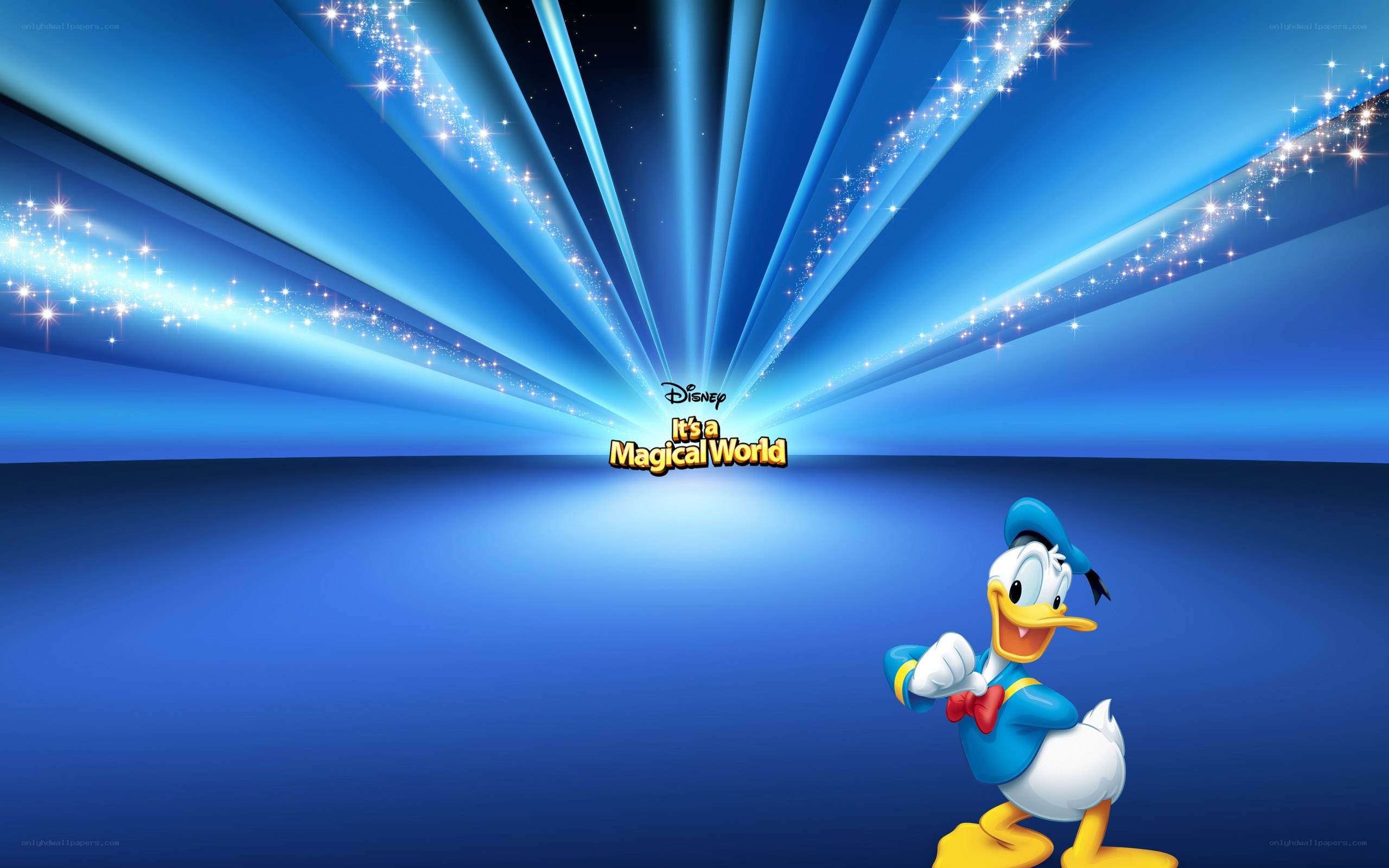 Donald Duck magical world