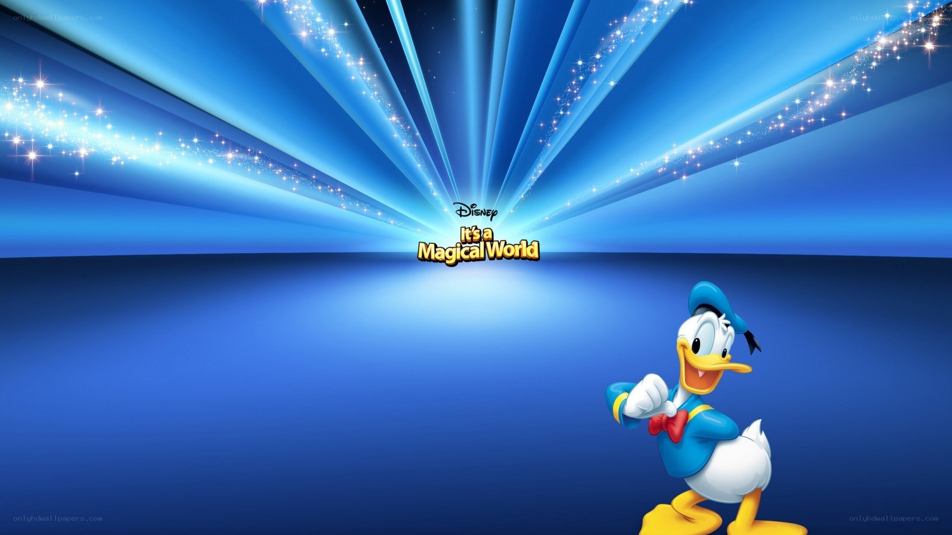 Donald Duck magical world