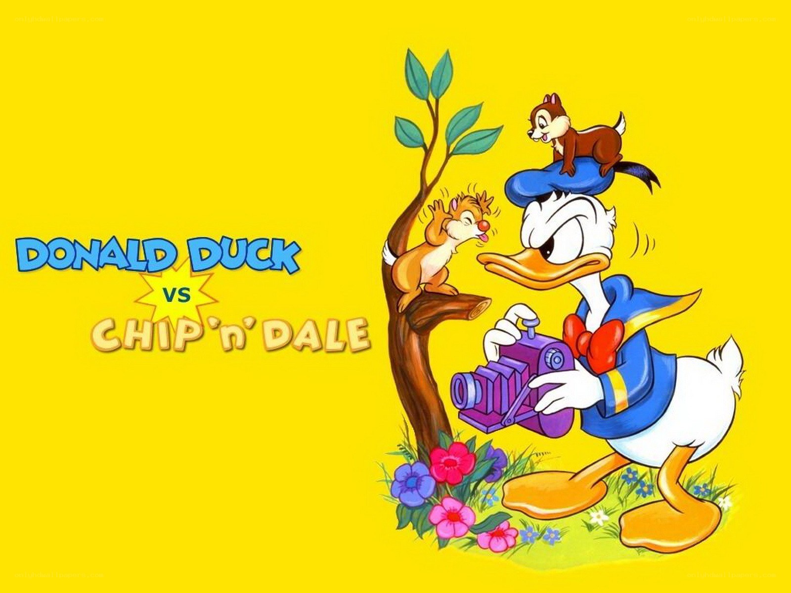 Donald Duck vs Chip 'n' Dale