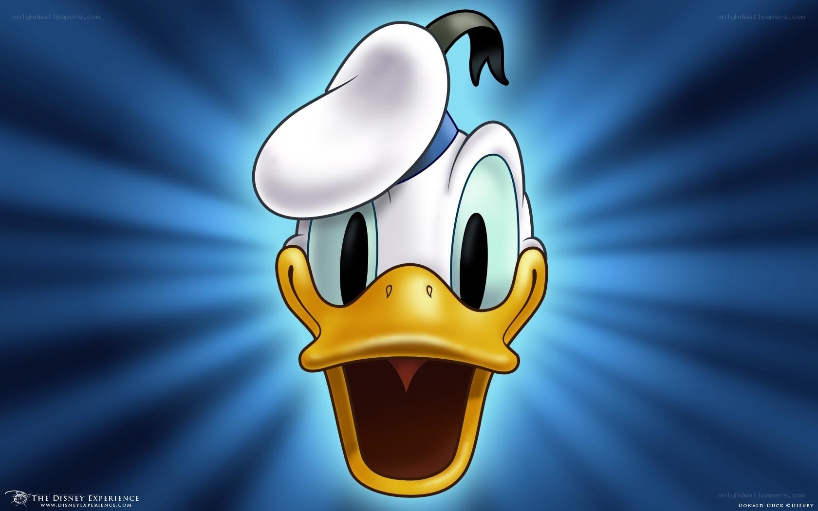 Donald Duck with open mouth