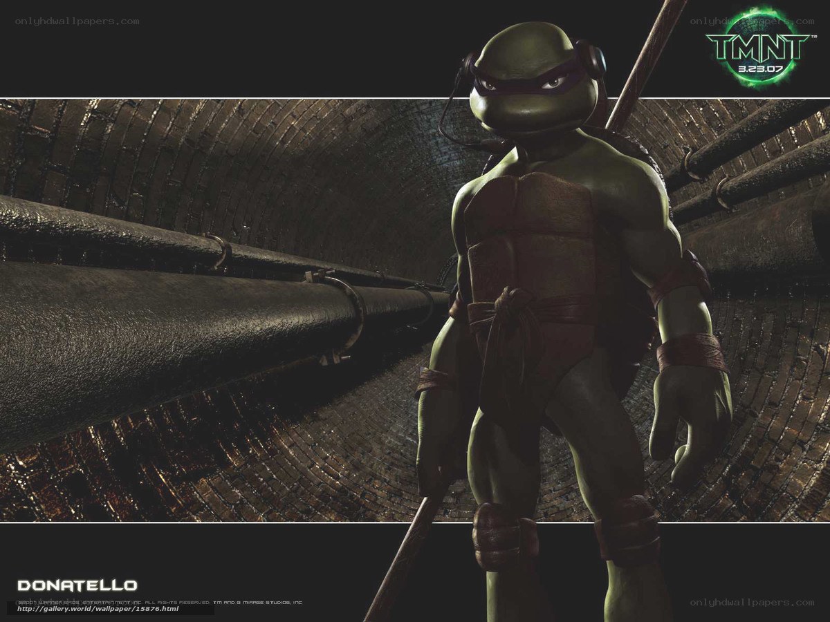 Donatello in the sewer