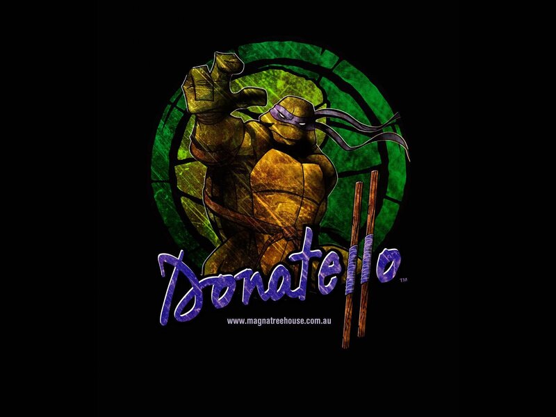 Donatello Teenage Mutant Ninja Turtles