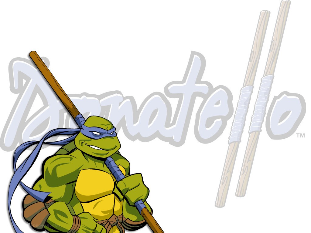 Donatello turtle character