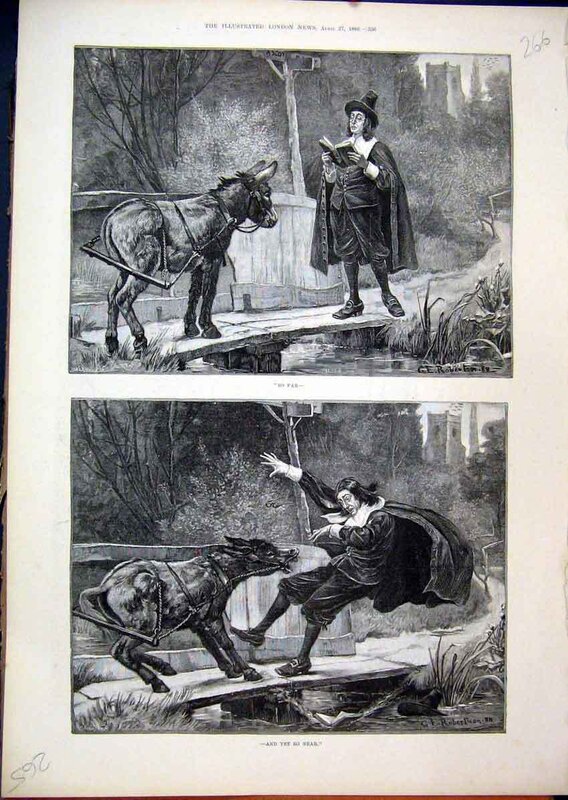 Donkey and Man on Bridge