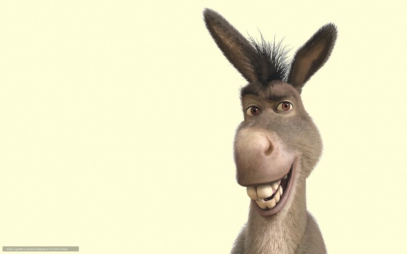 Donkey Character — Gray