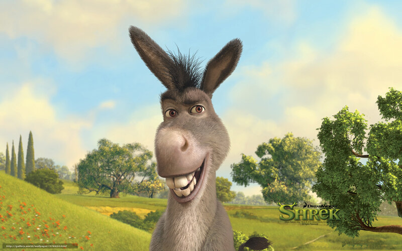 Donkey Character in Field