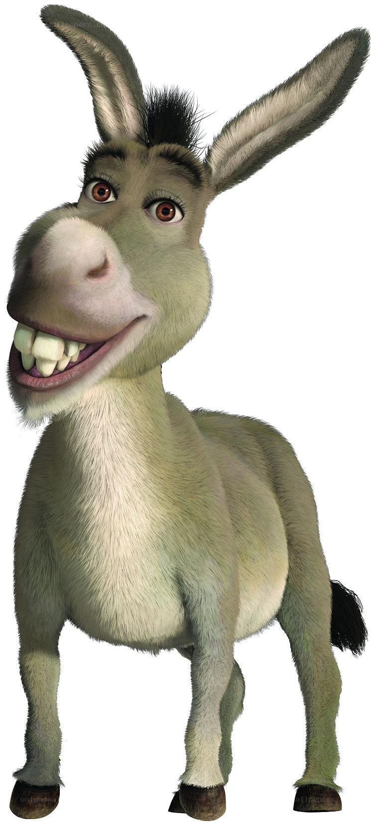 Donkey from Shrek