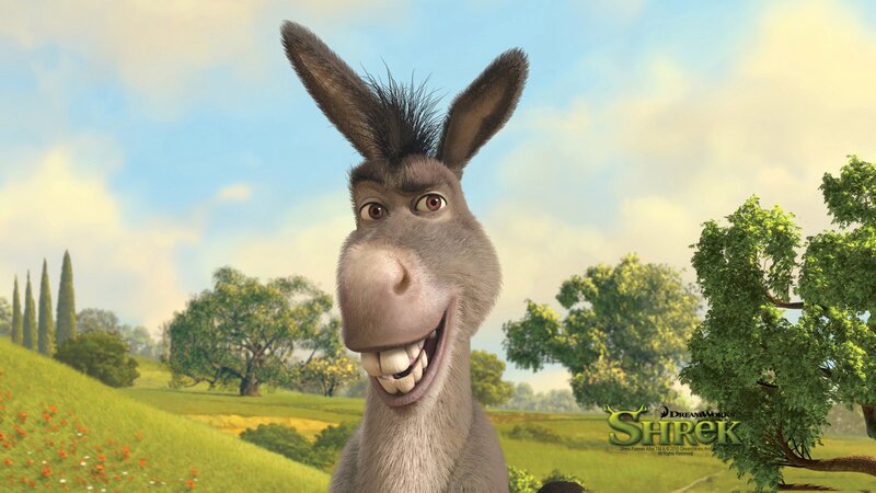 Donkey from Shrek