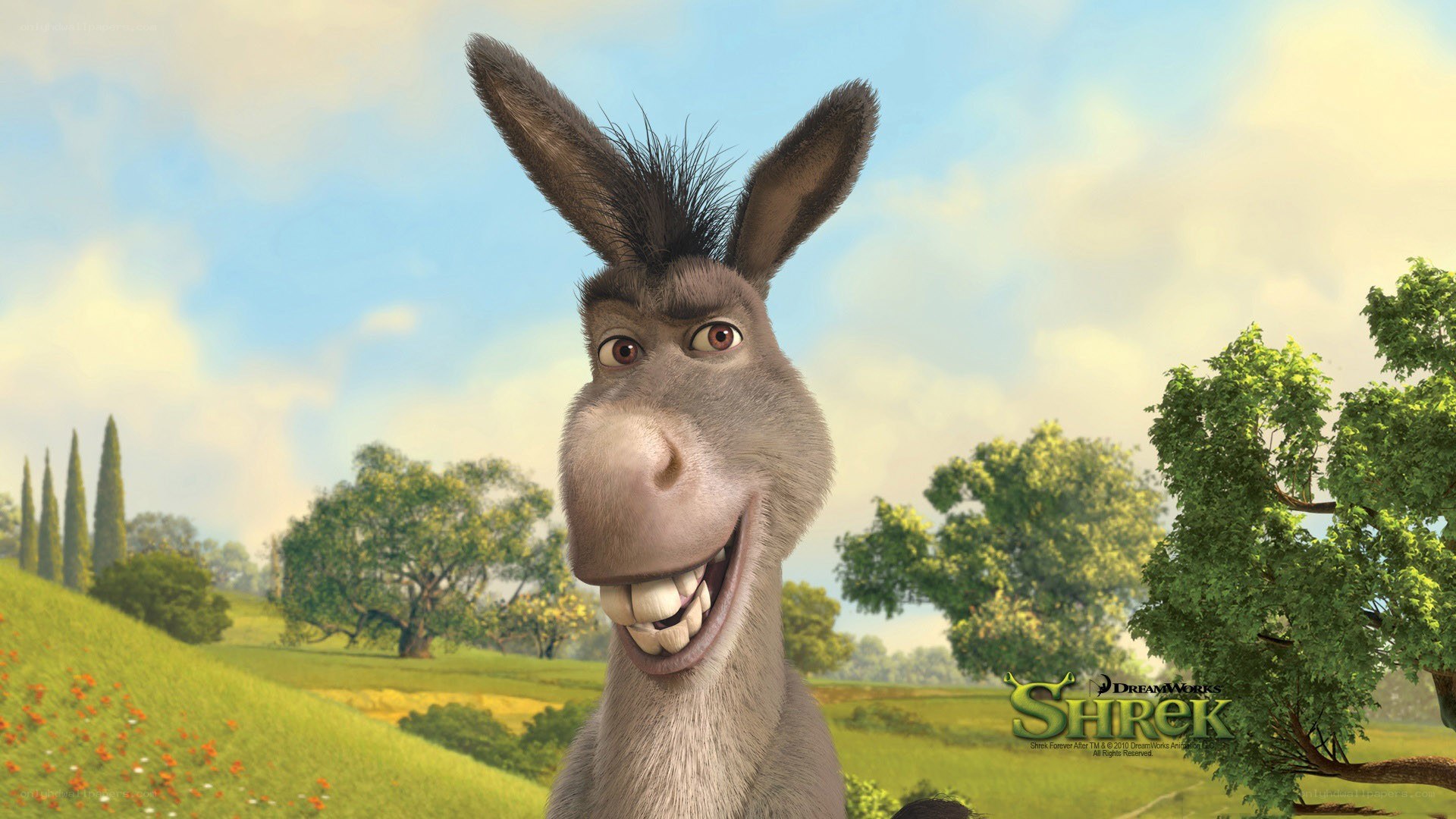 Donkey from Shrek