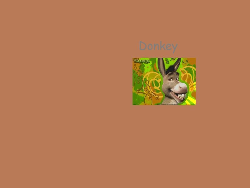 Donkey from Shrek — Brown