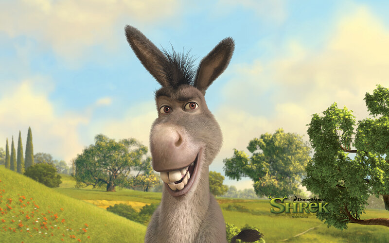 Donkey in a Field — Green