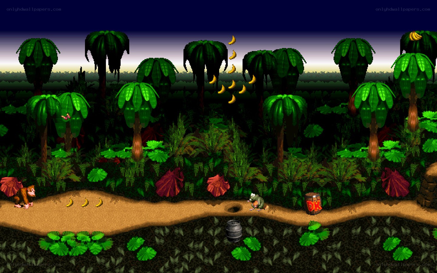 Donkey Kong Country jungle scene
