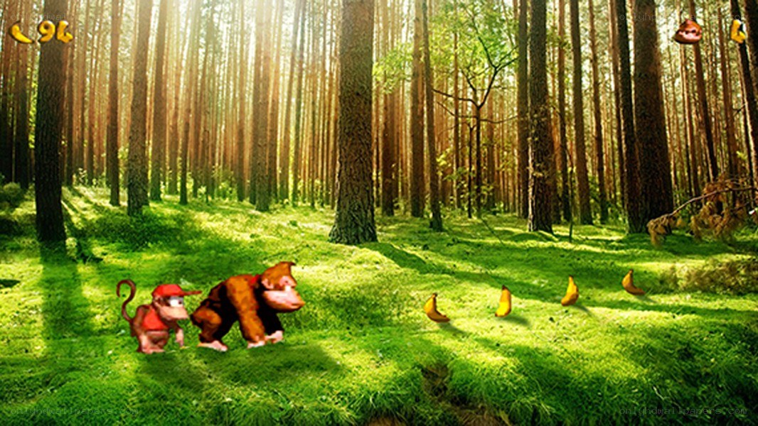 Donkey Kong in the forest