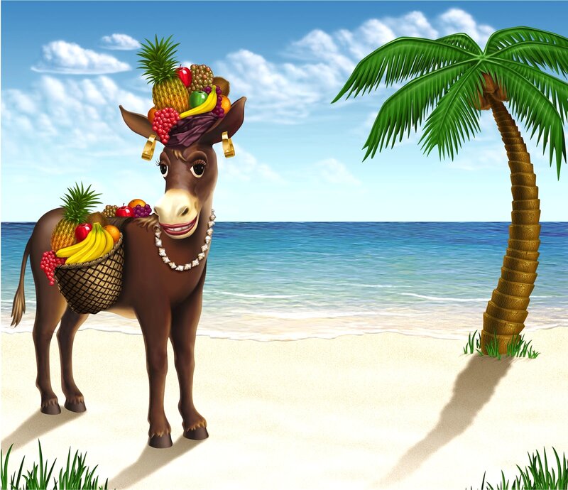 Donkey on Beach