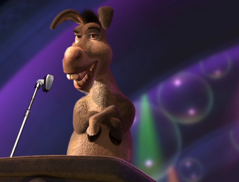 Donkey on Stage