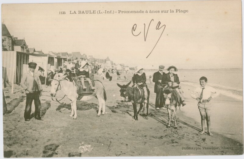Donkey rides on the beach