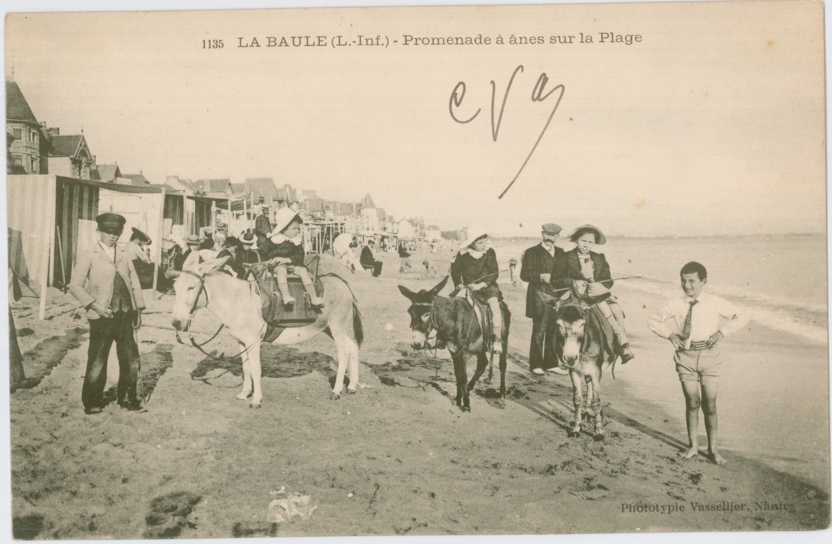 Donkey rides on the beach