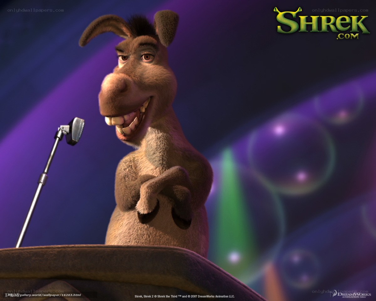 Donkey singing on stage