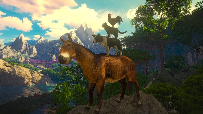 Donkey with Animals on Back