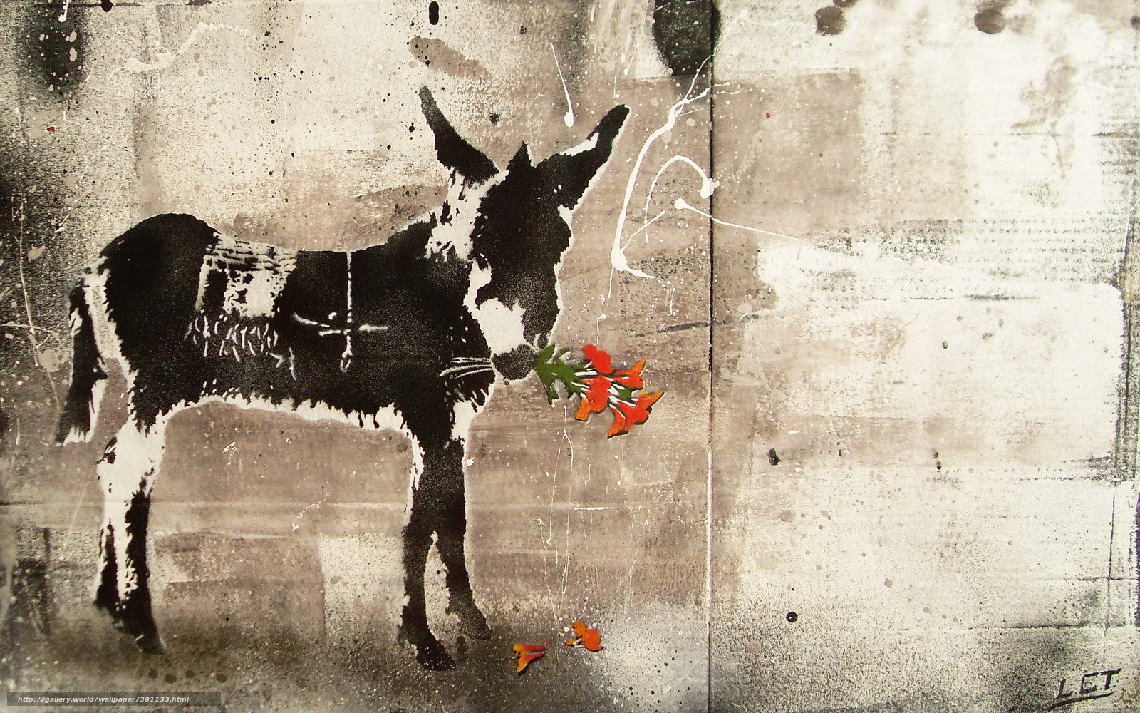 Donkey with flowers graffiti