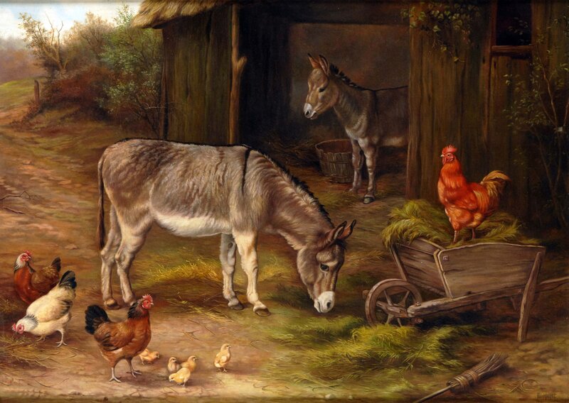 Donkeys and Chickens — Brown