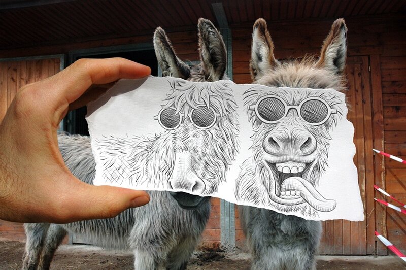 Donkeys with Drawing — Gray