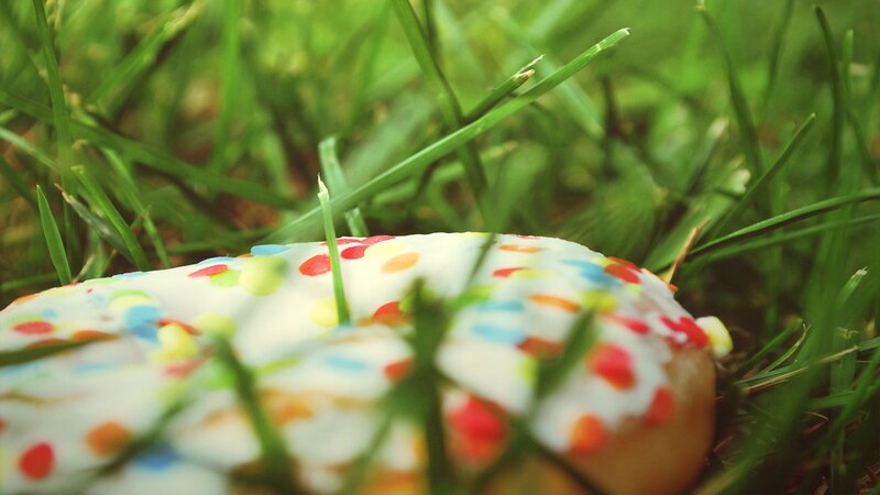 Donut in Grass — Green, Calm