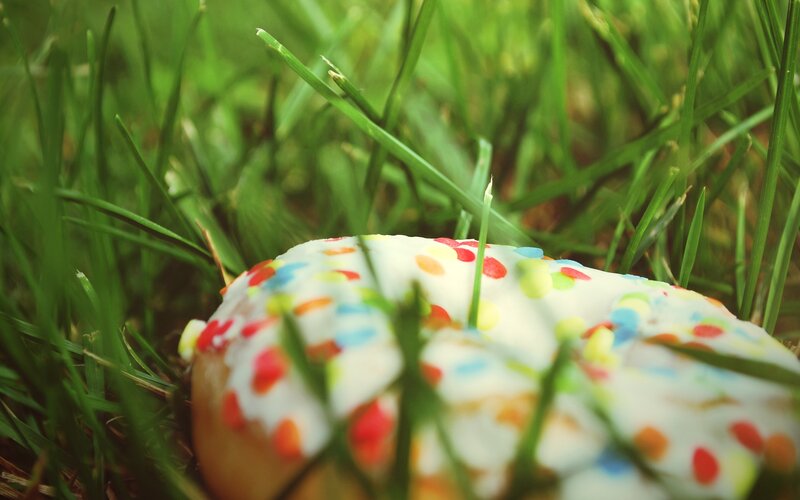 Donut in Grass — Green