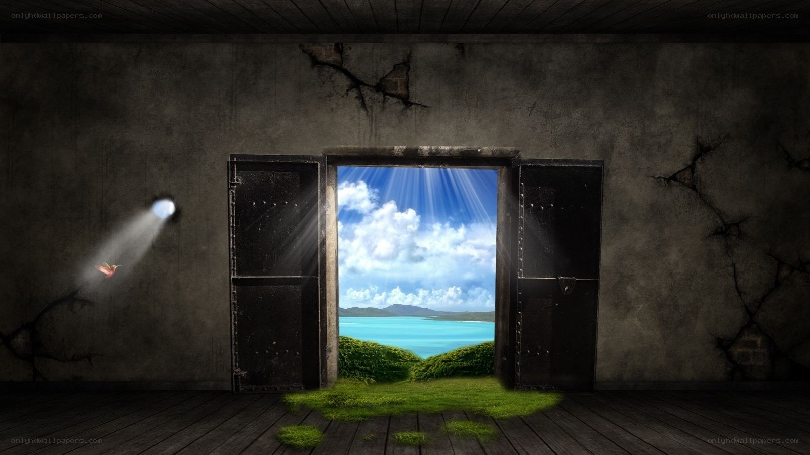 door to a bright world