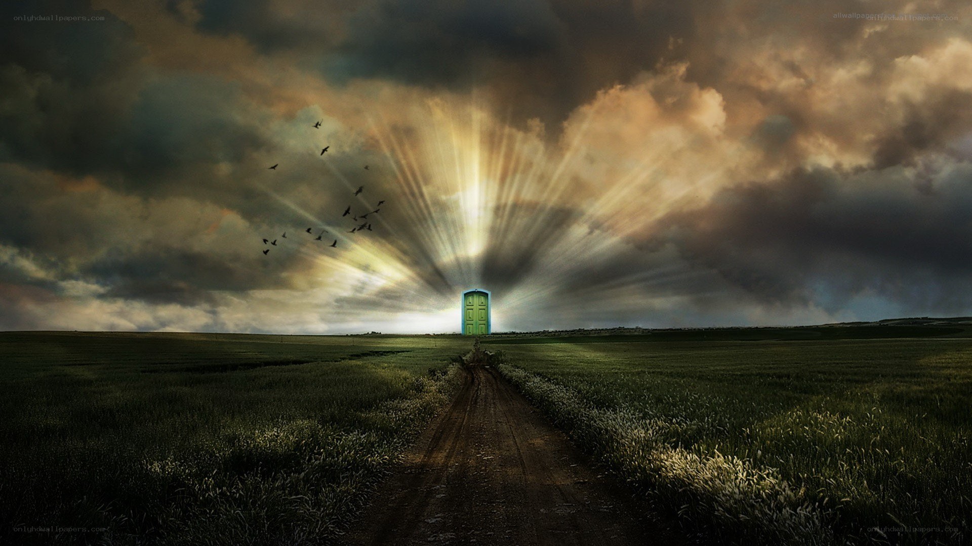 Door to light in a field