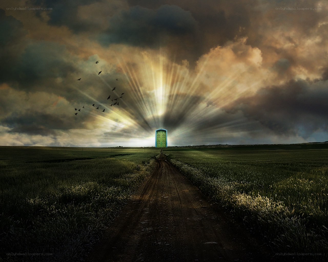 Door to light in a field