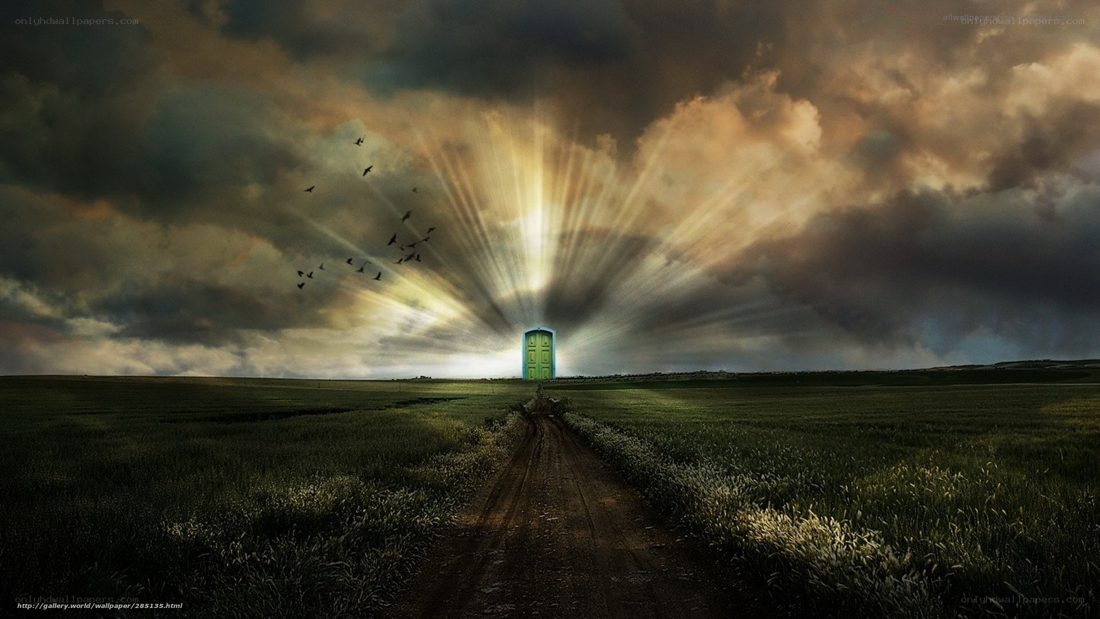 Door to light in a field