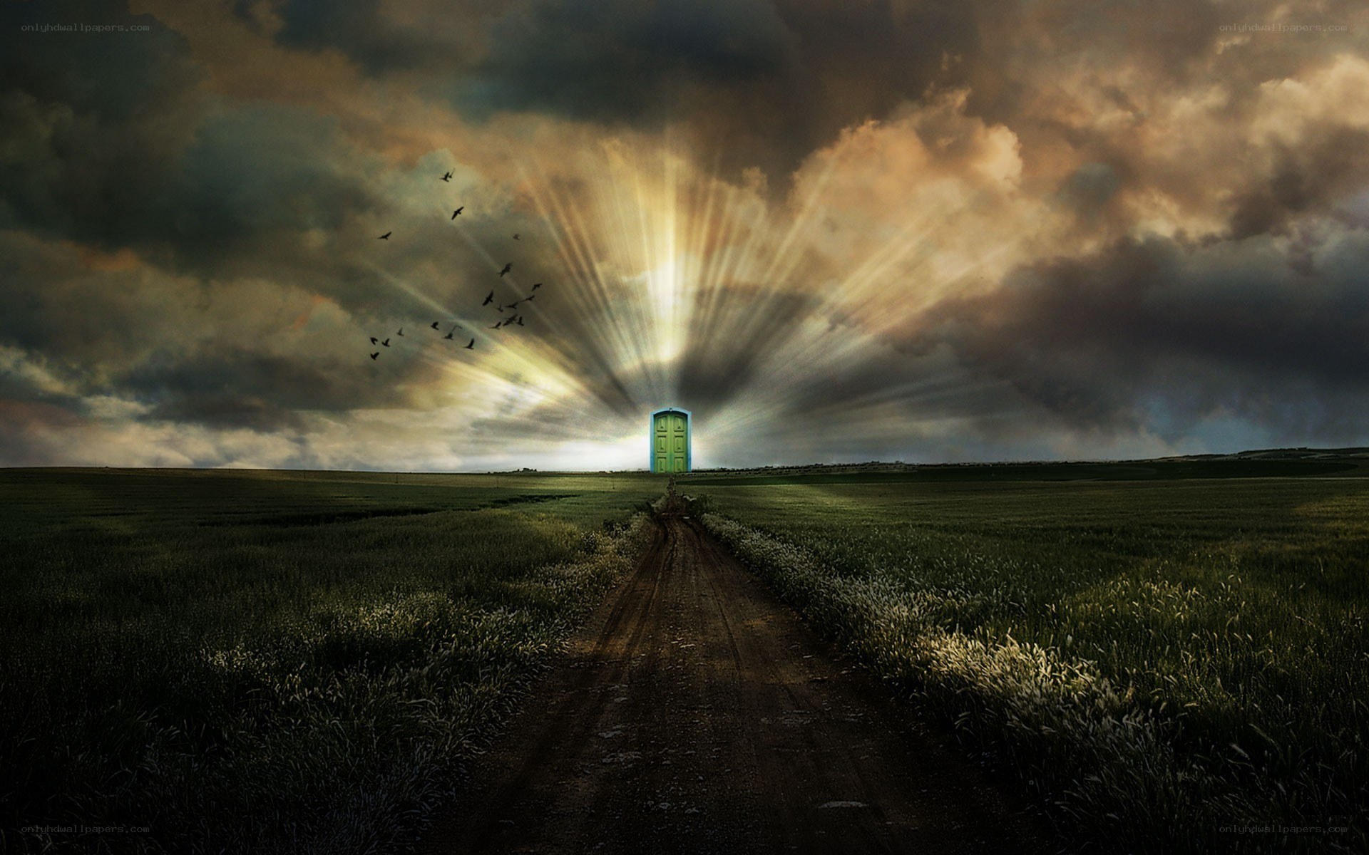 door to light in field