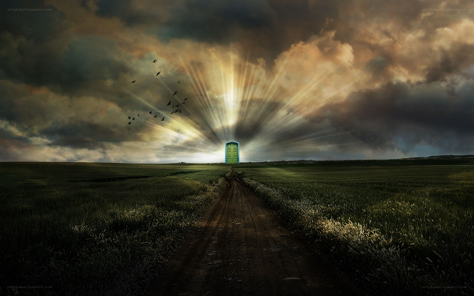 Door to the light