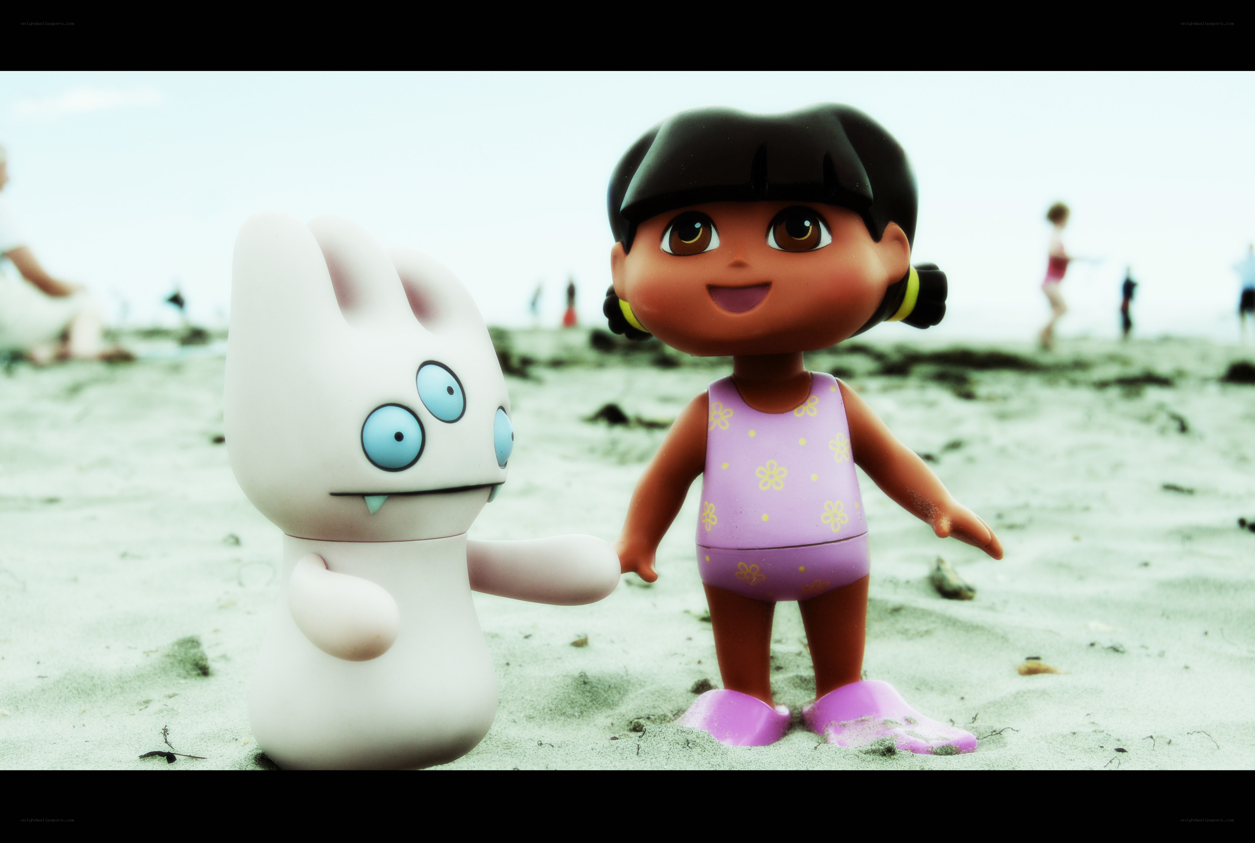 Dora and a toy on the beach