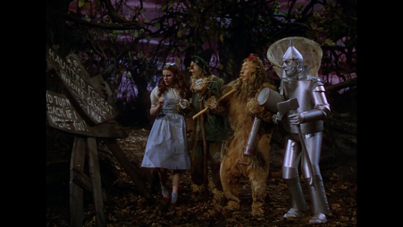 Dorothy and Her Companions — Brown