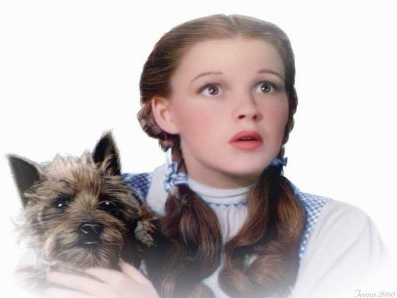 Dorothy and Toto from The Wizard of Oz
