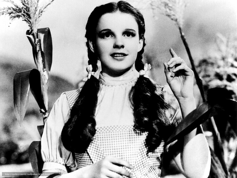 Dorothy in the Wizard of Oz