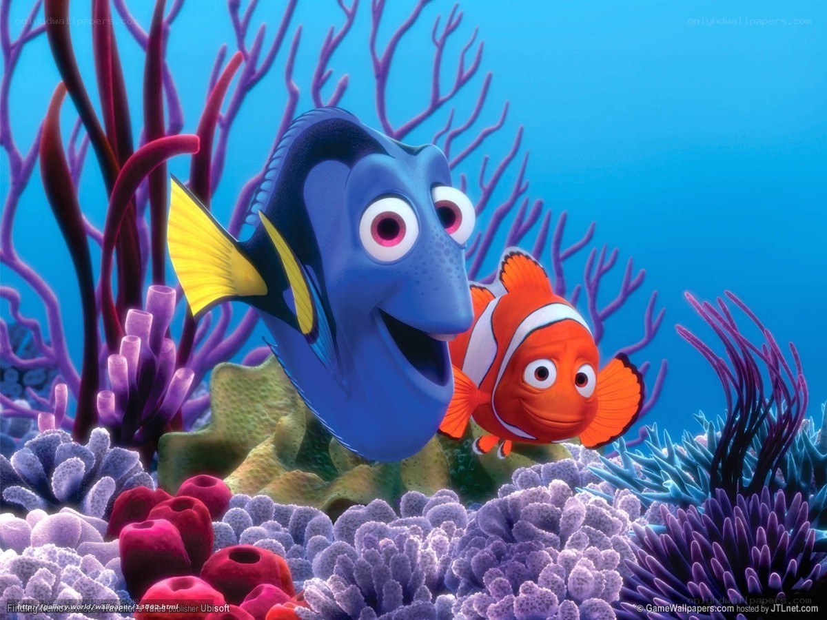 Dory and Nemo in coral reef