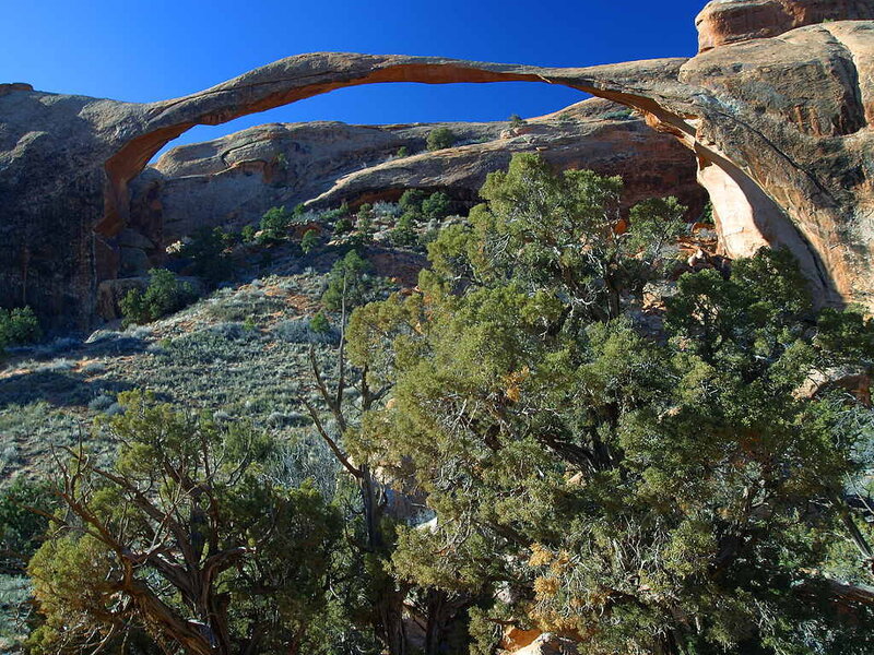 Double Arch Formation — Blue
