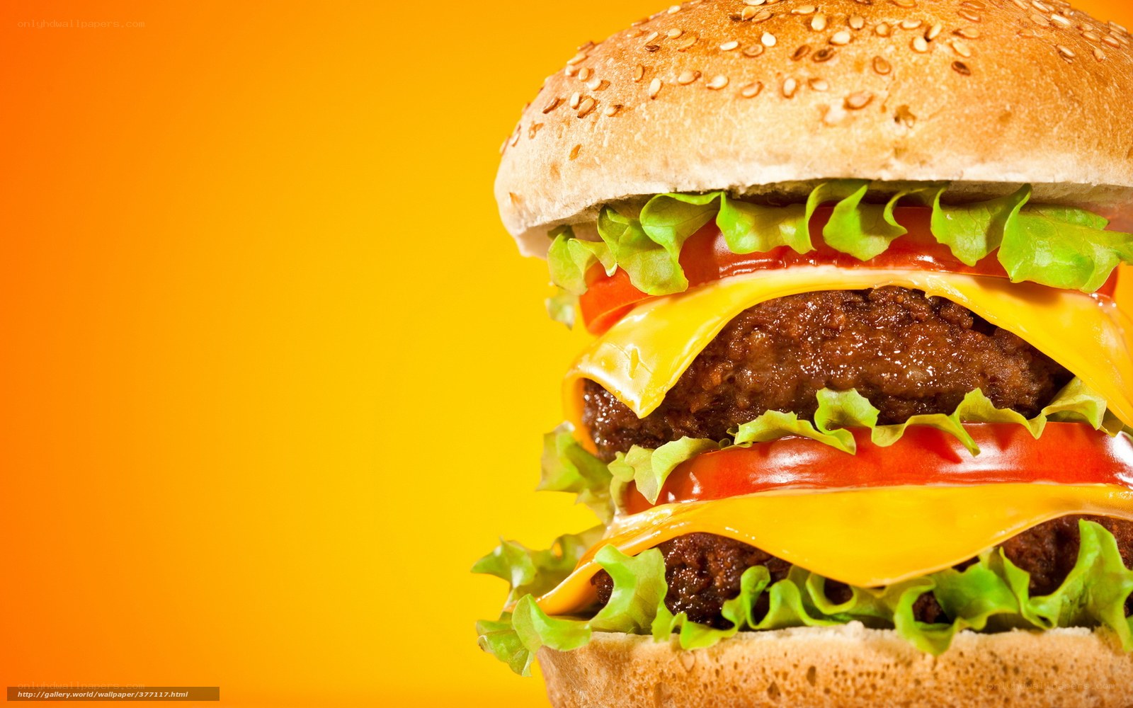 Double cheeseburger on sesame bun