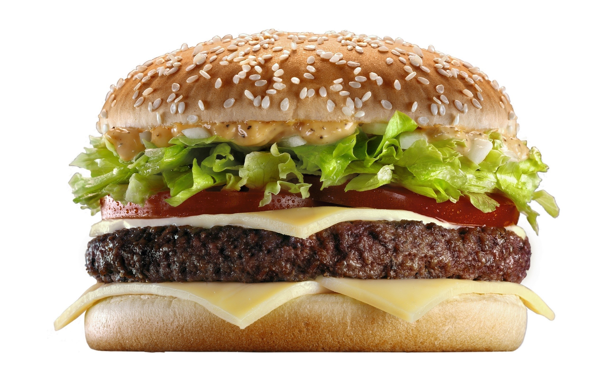 double cheeseburger with sesame bun