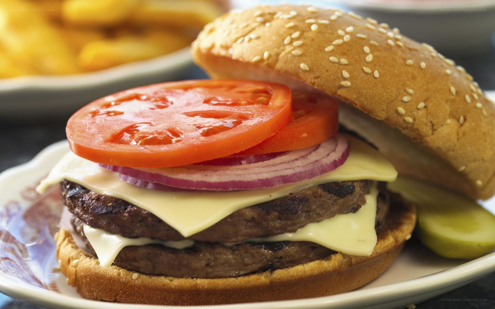 Double cheeseburger with toppings